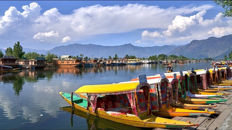 CEF Group to convert 70,000 tons of annual waste from Dal Lake into organic manure and allied products